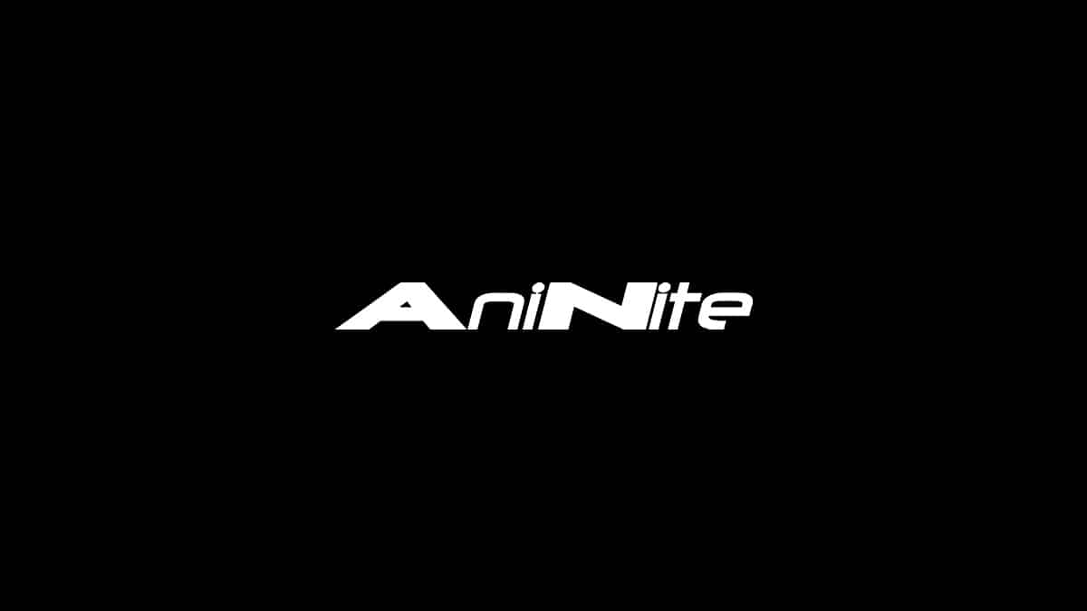 AniNite 11 AniNite